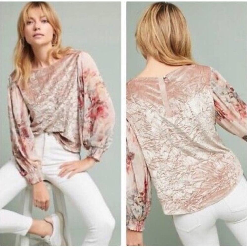 Anthropologie Meadow Rue Crushed Velvet Chiffon Floral Sleeves Top Medium